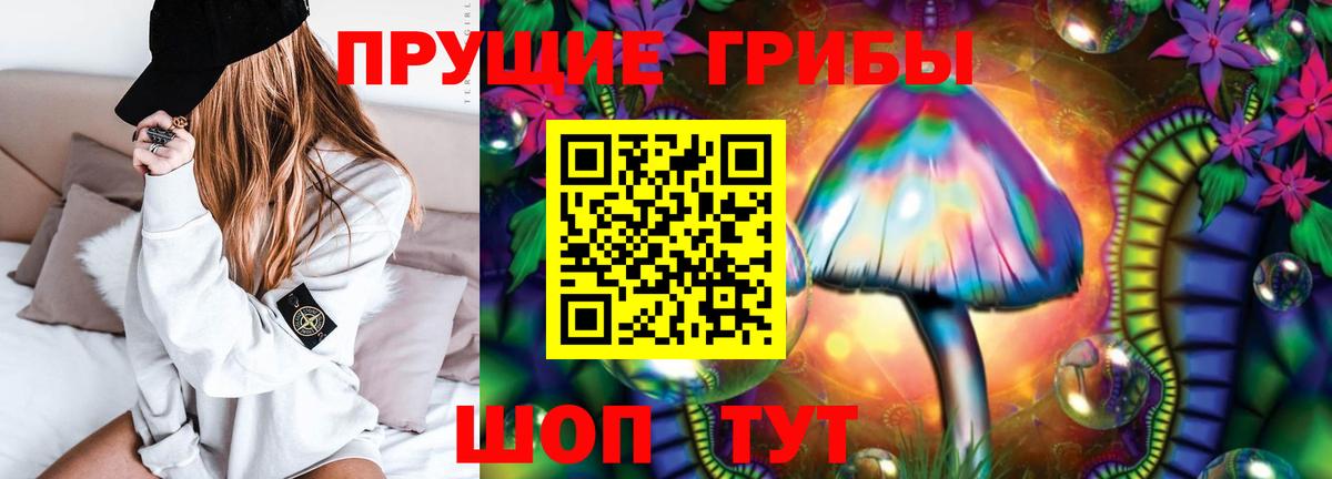 Галлюциногенные грибы Psilocybe Псков