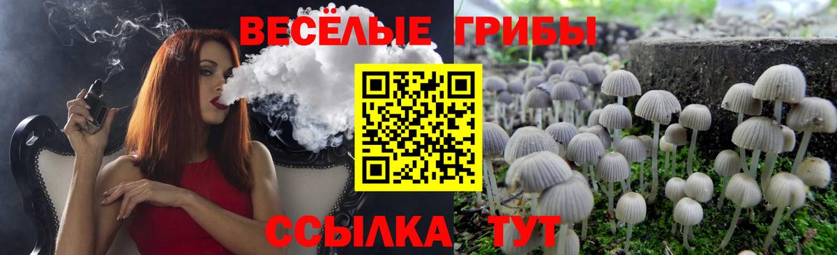 Галлюциногенные грибы мухоморы  Псилоцибиновые грибы ЛСД  Вход с VPN  Псков 